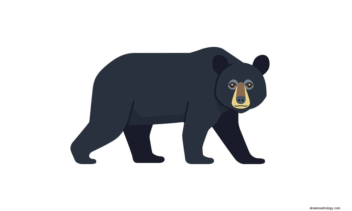 Wat betekent het om te dromen van een zwarte beer? 