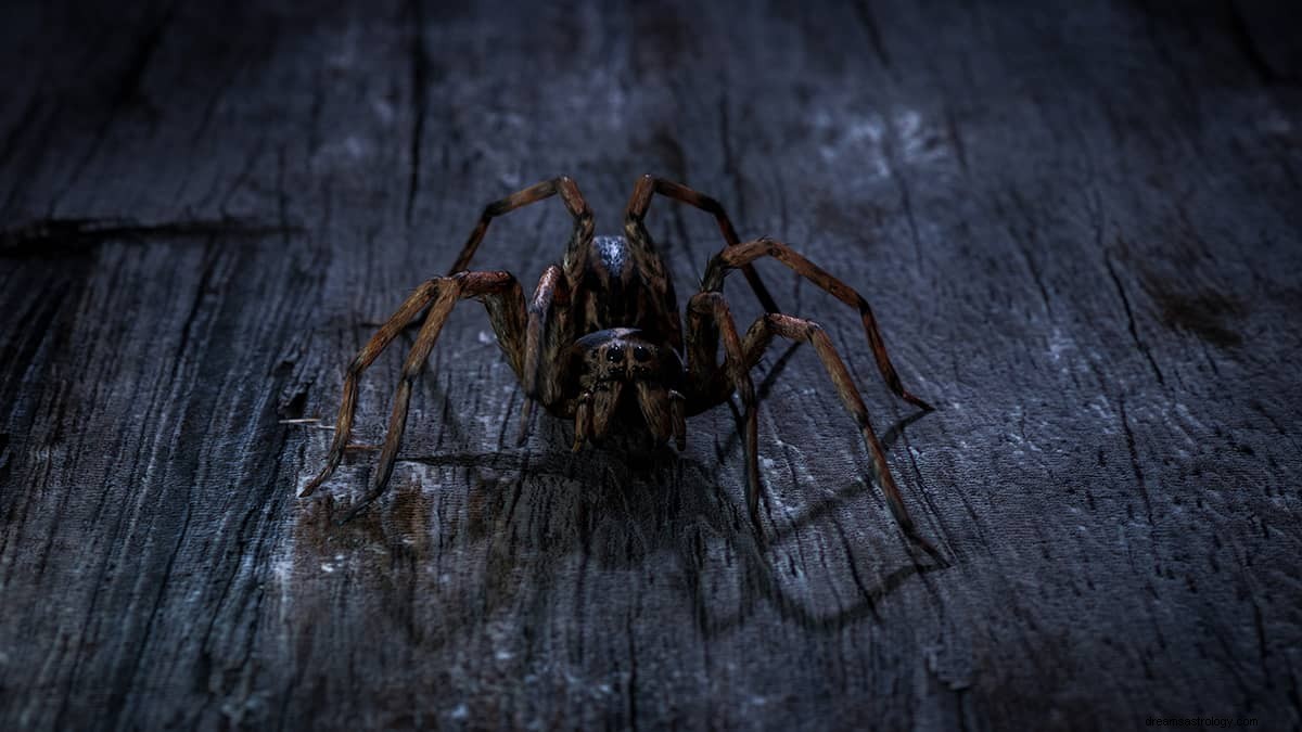 Hvad er drømmebetydningen af ​​en kæmpe edderkop? 