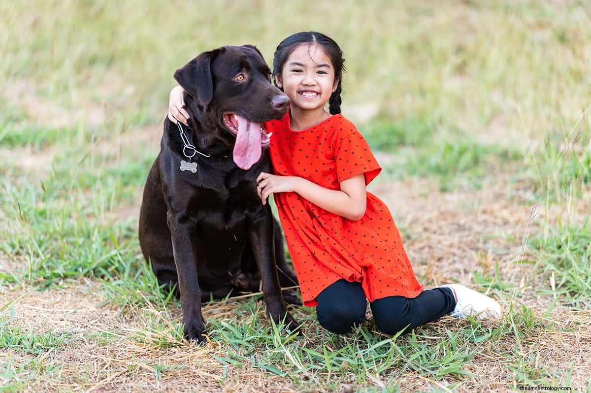 Wat is de droombetekenis van een zwarte hond? 