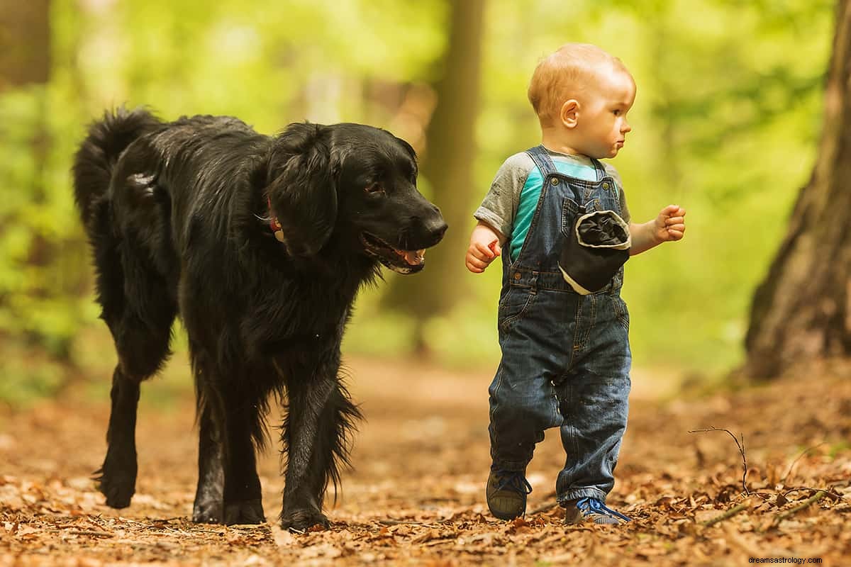 Hva er drømmebetydningen av en svart hund? 