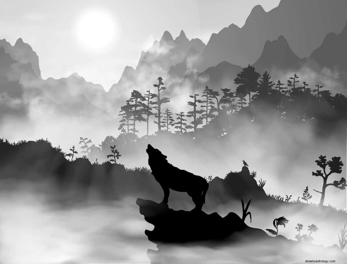 Hva betyr det å drømme om en svart ulv? 