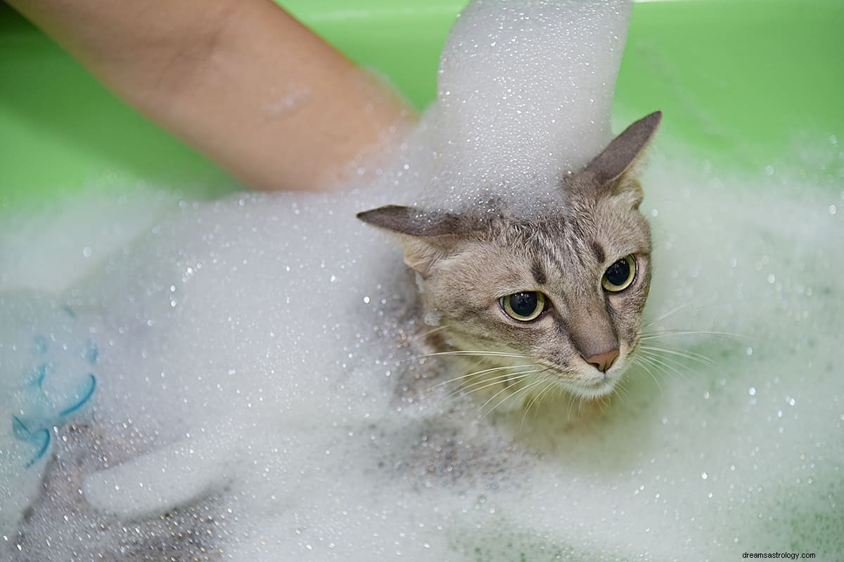 Der Traum von einer Badewanne – Bedeutung und Deutung 