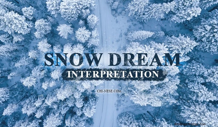 Sneeuw droom betekenis 