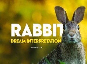 ウサギとその意味についての9つの最も一般的な夢 