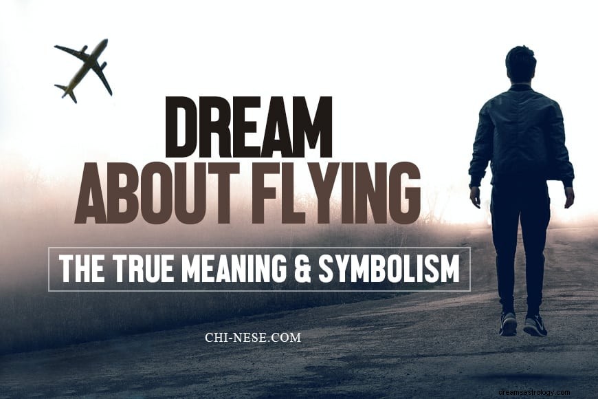 Droom over vliegen - de ware betekenis van deze droom en zijn symboliek 