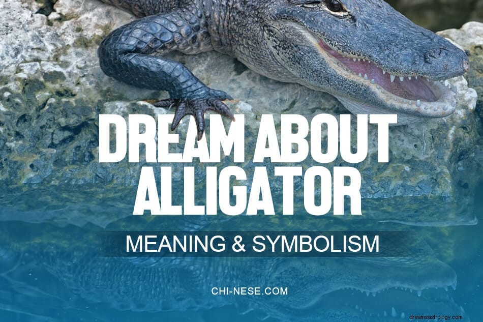 Rêver d alligators - La signification et le symbolisme de ce rêve 