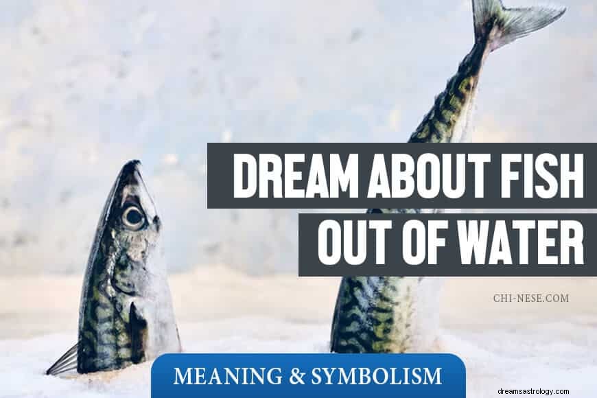 Drøm om fisk uden for vandet – du vil blive overrasket over, hvad denne drøm betyder! 