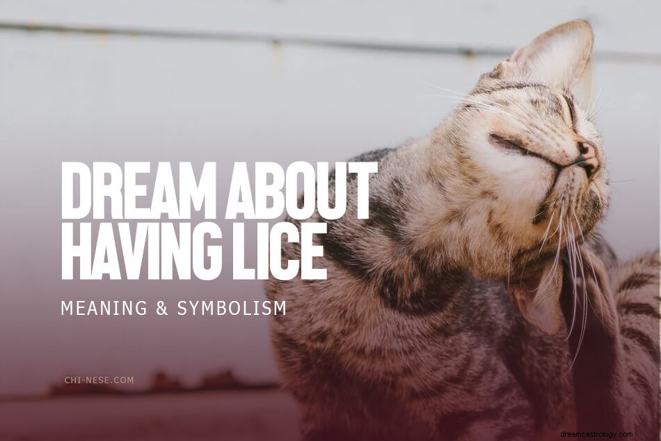 Dröm om att ha löss – vad betyder det att drömma om löss? Mening &Symbolik 