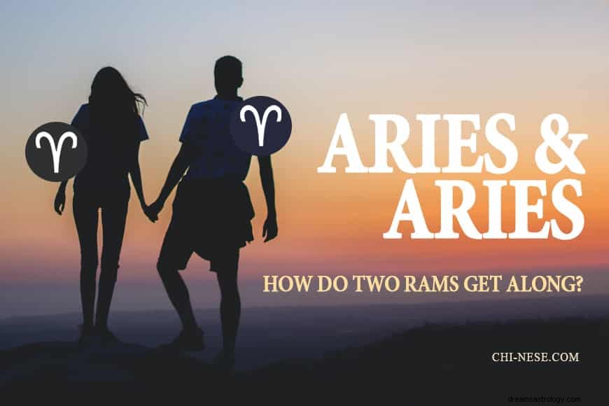 Compatibilità con Ariete e Ariete:come vanno d accordo due arieti? 