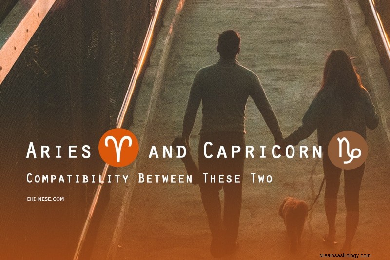 Aries y Capricornio:compatibilidad en la amistad, el amor, el trabajo y la cama 