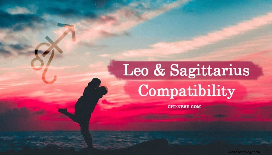 Leone e Sagittario amano la compatibilità 