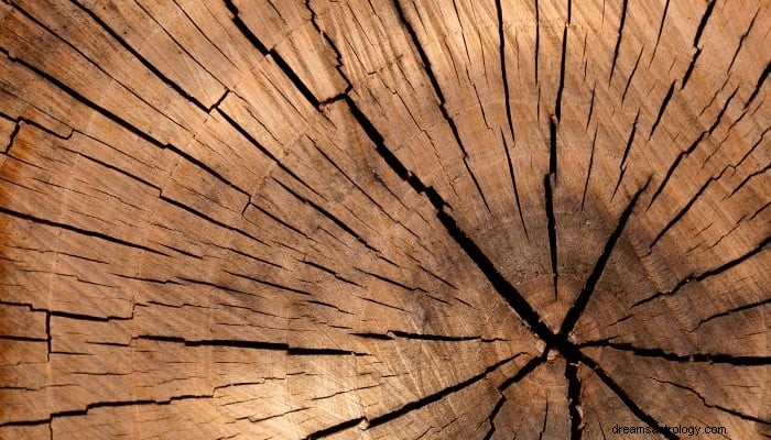 Significado do sonho de madeira:as coisas essenciais para construir experiência 