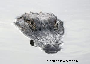 Alligatordromen en hun betekenis:bewaak altijd je rug 