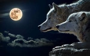 Apa Arti Mimpi Tentang Serigala?:Baca Ini Lalu Tanyakan Pada Diri Sendiri 