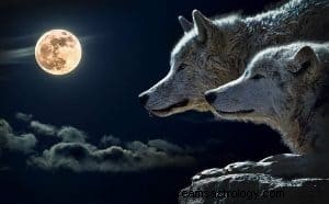 Que signifient les rêves de loups ? :lisez-les, puis posez-vous la question 