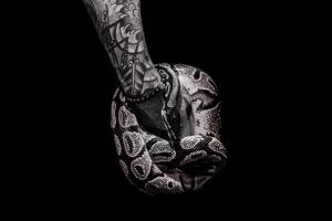 Snake Dreams Betekenis:Ooit afgevraagd wat het betekent? 