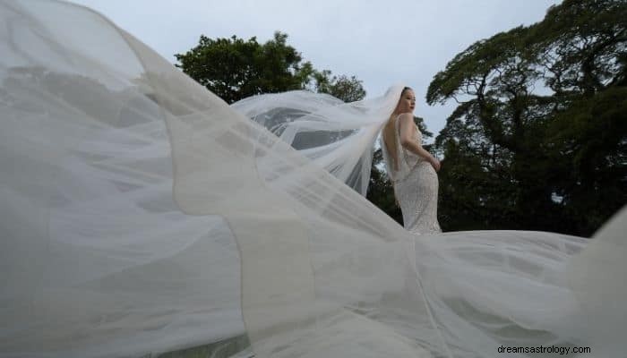 Bröllopsklänning Drömmening &tolkning:Var passar din dröm? 