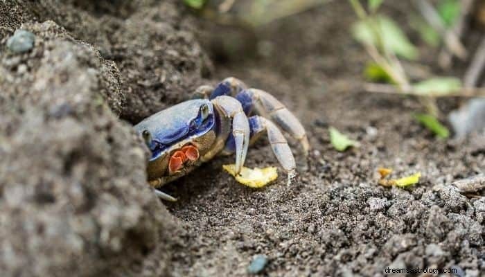 カニの夢の意味と解釈：人間関係の問題 