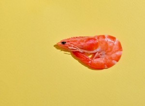 Signification et interprétation des rêves de crevettes :Manque de confiance 
