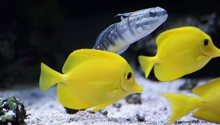 Έννοια &Ερμηνεία ονείρου ψαριών:Αποκαλύψτε το κρυμμένο νόημα 