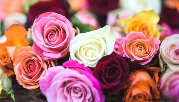 Significato e interpretazione dei sogni di rose:guida completa ai sogni 