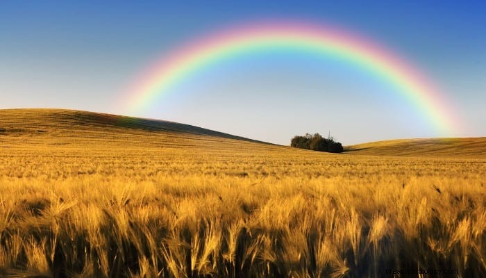 Signification du rêve arc-en-ciel :un rêve coloré 