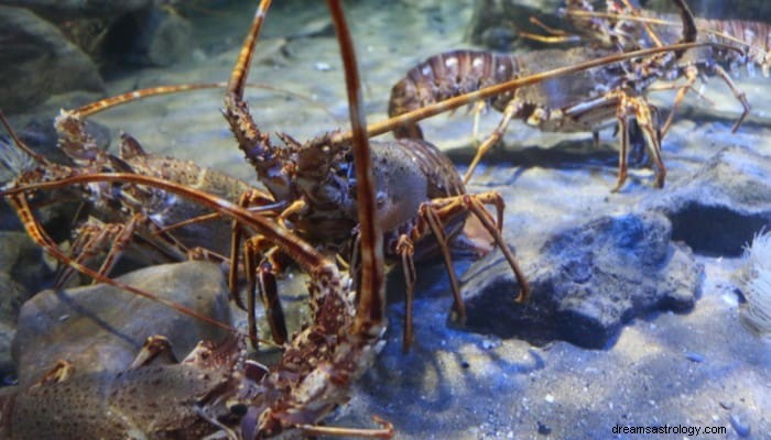 Signification du rêve de homard :force et persévérance 