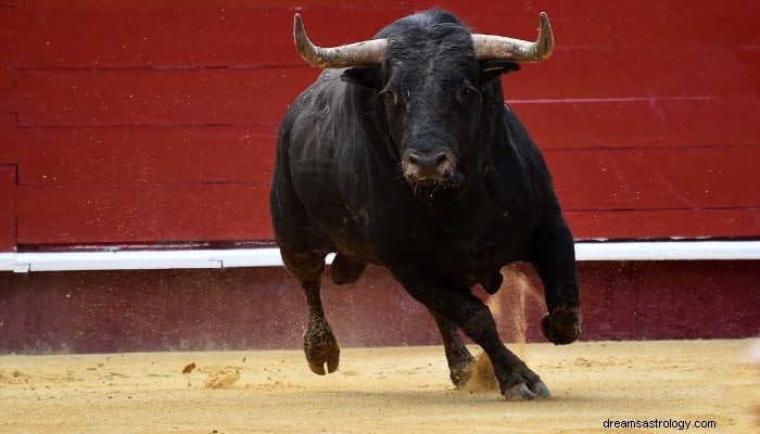 Bull Dream Betydning:Aggression, Konkurrence og mere! 