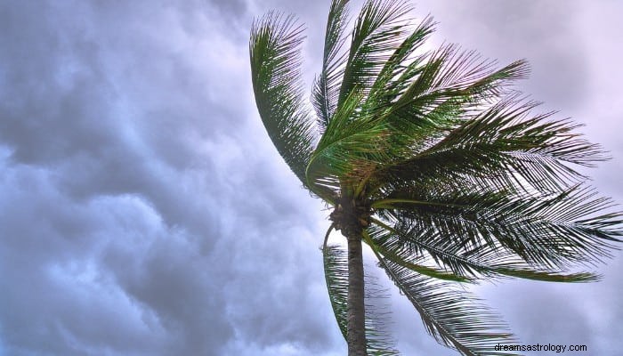 Storm Dream Betydelse:Är det ett fruktansvärt omen? 