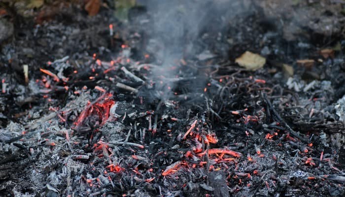 Ashes Dream Bedeutung:Veränderungen und Auswirkungen des Lebens 