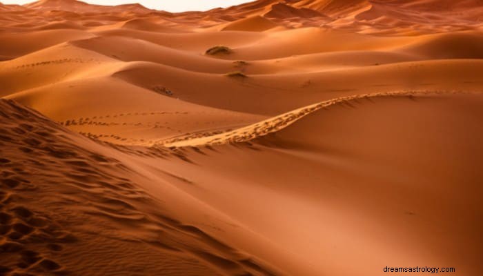 Significato del sogno nel deserto:come uscire e unirti alla folla? 