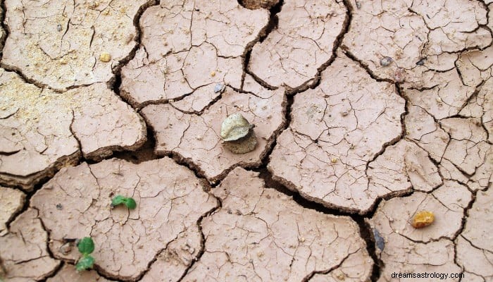 Bodentraum Bedeutung:Es wird Herausforderungen für Sie geben 