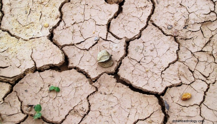 Soil Dream Significato:Ci saranno sfide per te 