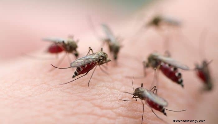 Mosquito Dream Betydning:Føler du dig drænet? 