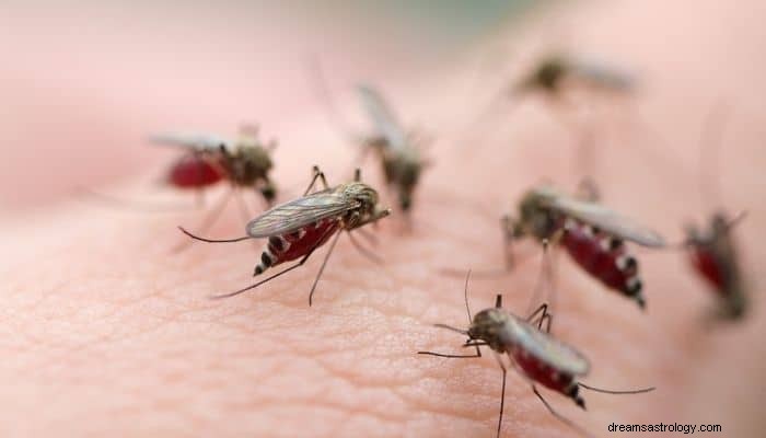 Mosquito Dream Betekenis:voel je je leeggezogen? 