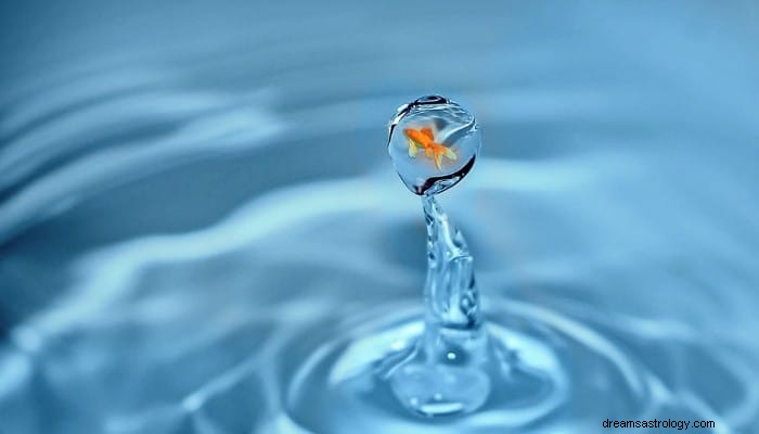 Goldfish Dream Betydelse:Hur behåller du din rikedom? 