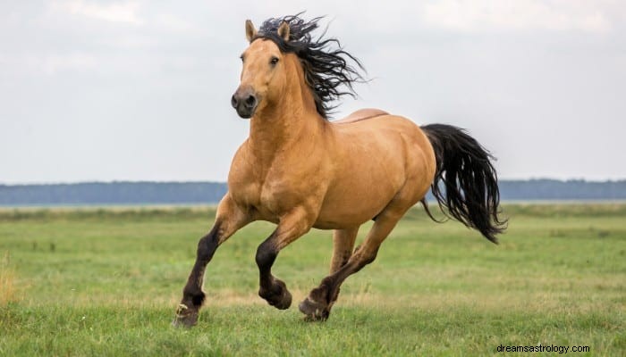 Έννοια ονείρου αλόγου:Κερδίστε κάθε μάχη στη ζωή 