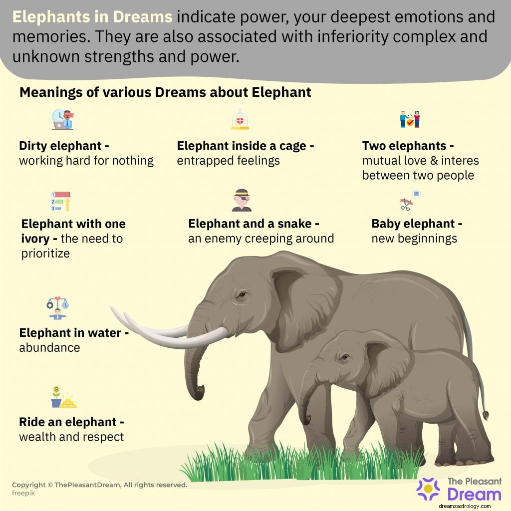 Elefanter i drömmar:94 typer och deras betydelser! 