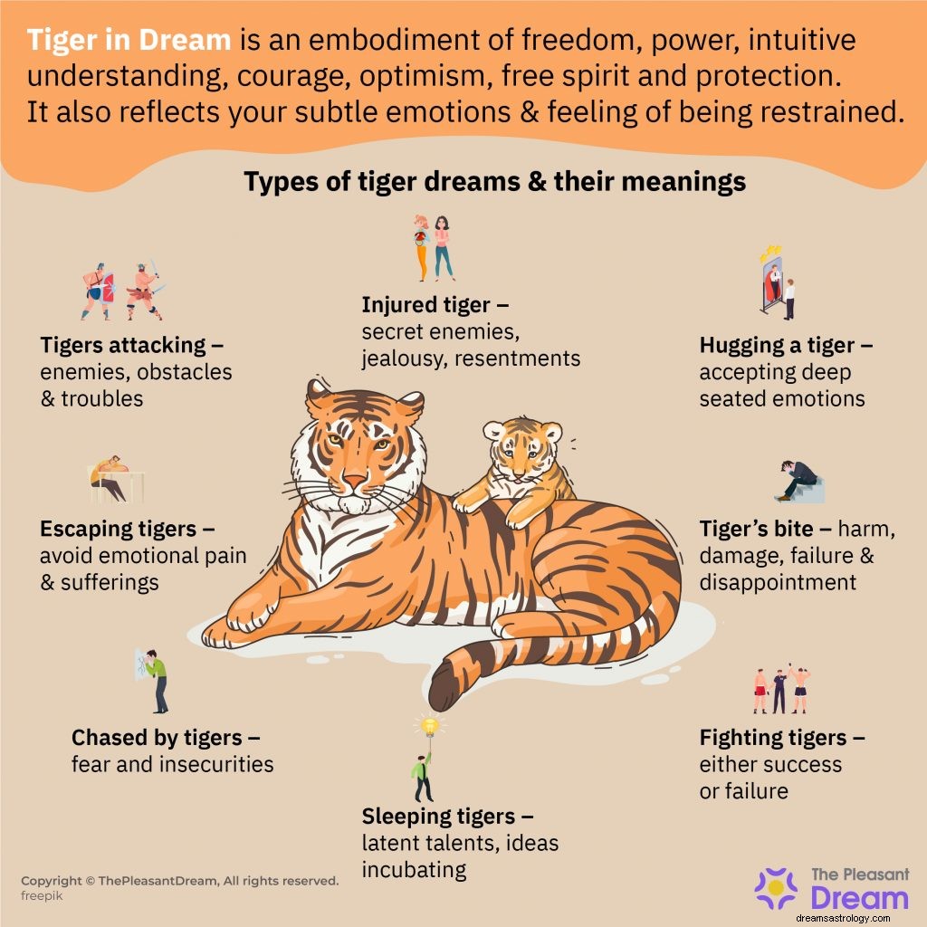 Tiger Dream Betekenis - 40 soorten ervan en hun interpretaties 
