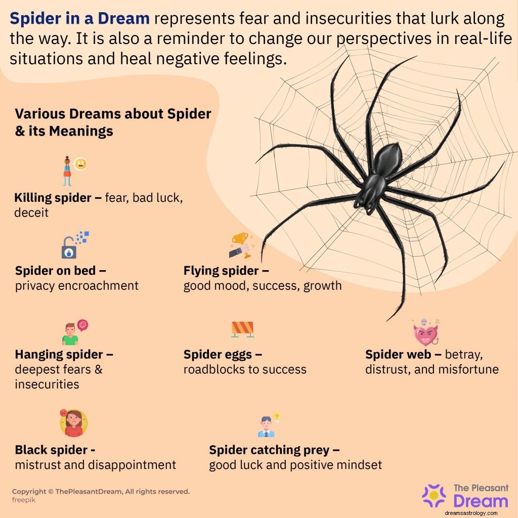 Sueños con arañas:¡47 escenarios y lo que significan exactamente! 