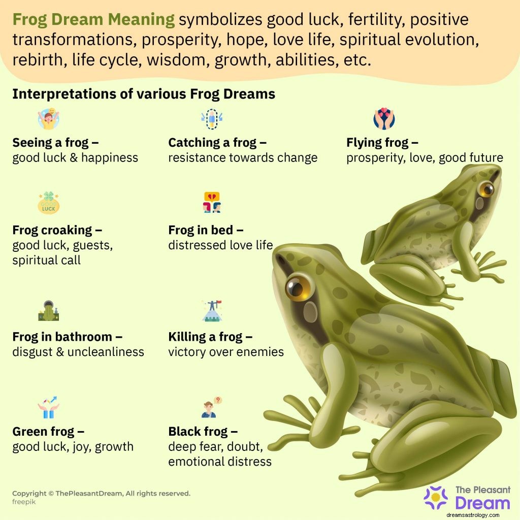 Význam snu žáby – kompletní průvodce 