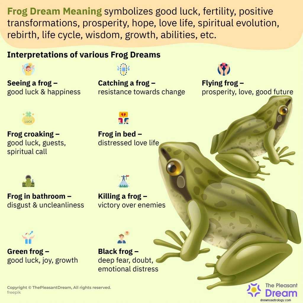 Frog Dream Meaning – Ένας πλήρης οδηγός 