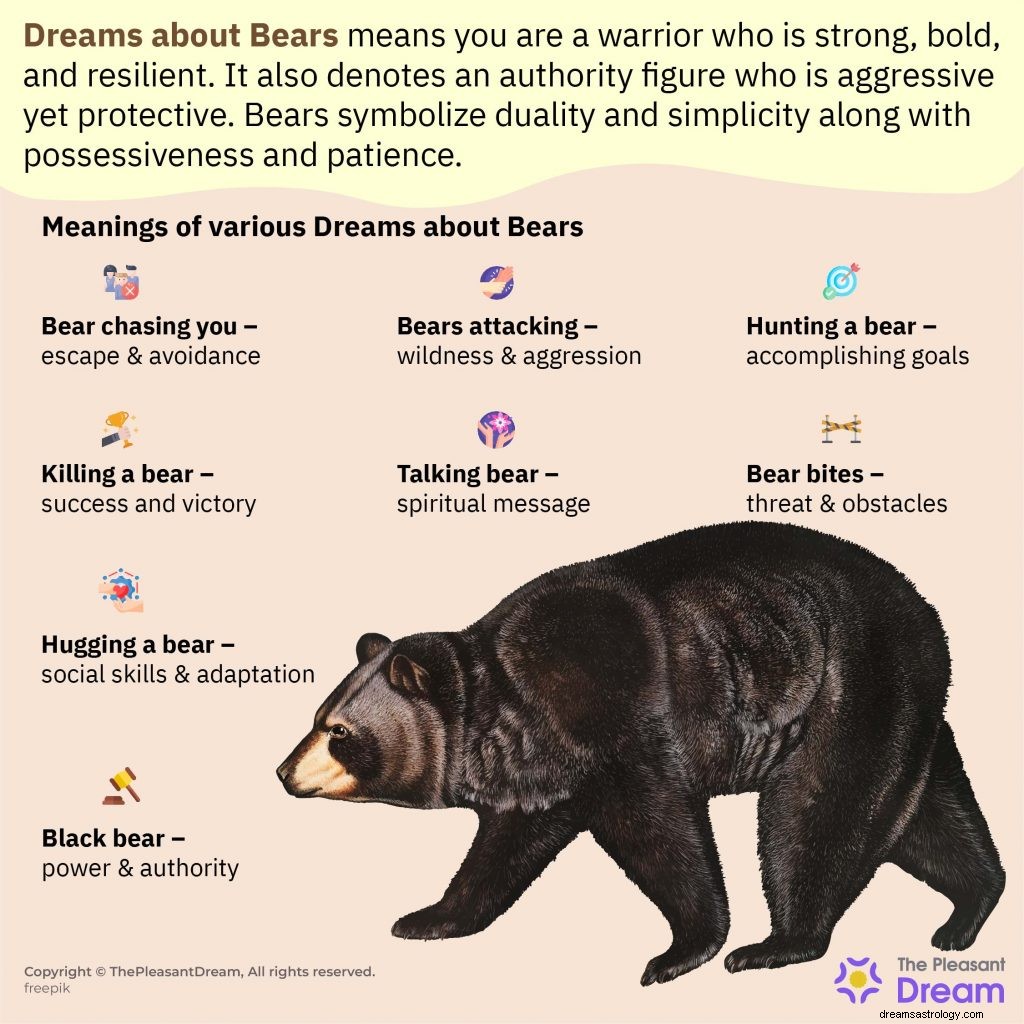 46 drömmar om björnar – den ultimata guiden med illustrationer 