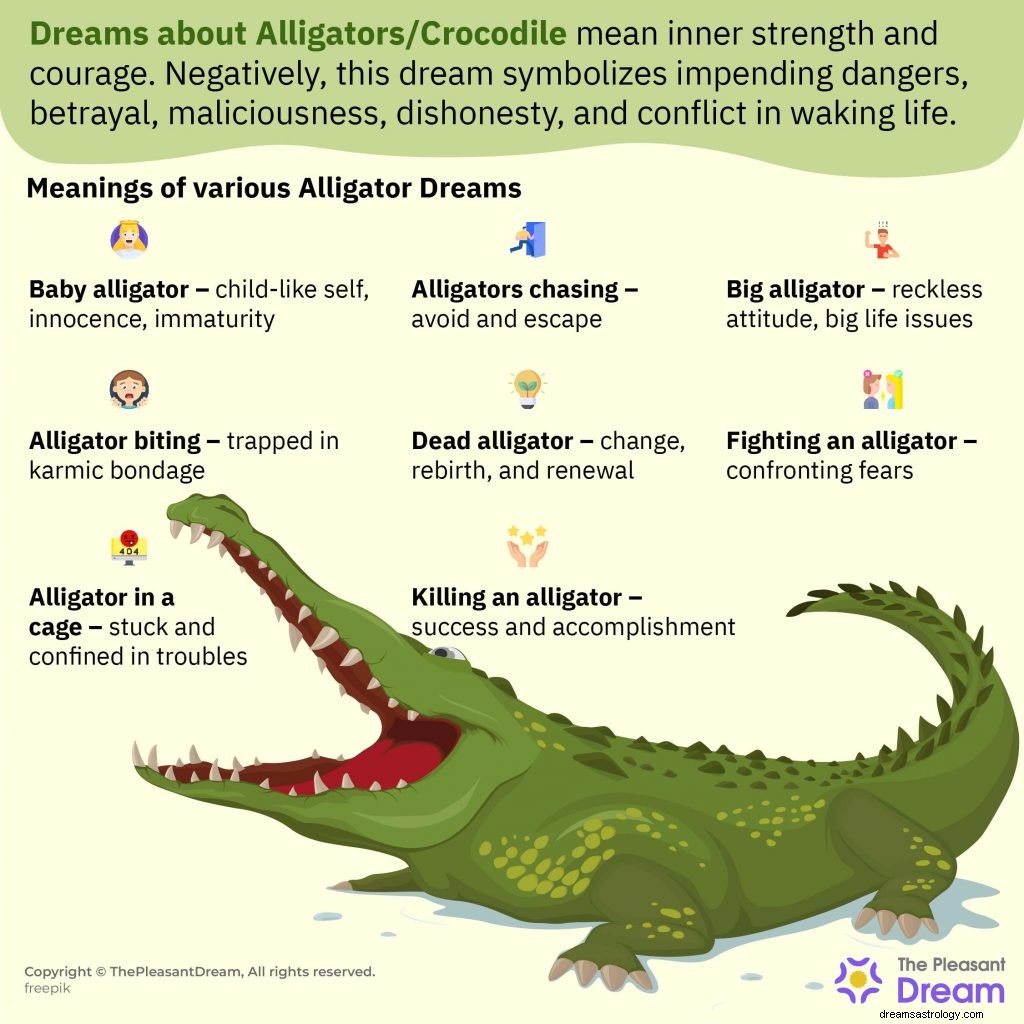 Drømmer om alligatorer - 40 typer og tolkninger 