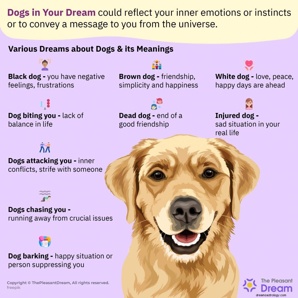 Rêver de chien - Le seul guide dont vous avez besoin 