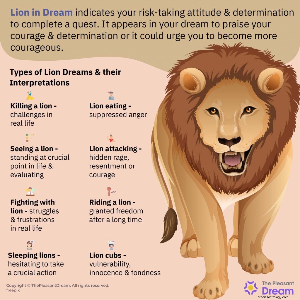 Lev ve snu – Co to znamená snít o lvech? Tlumočit HNED! 
