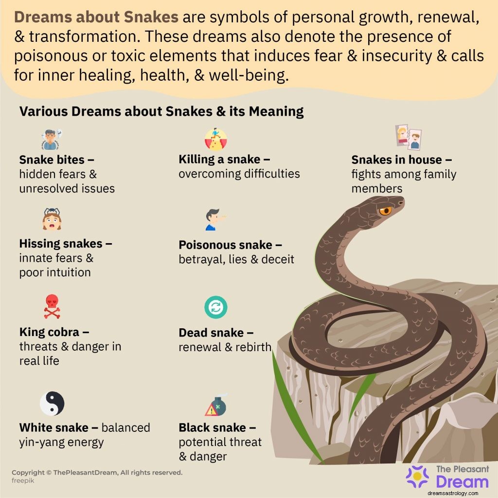 60 typer av drömmar om ormar och deras betydelser 