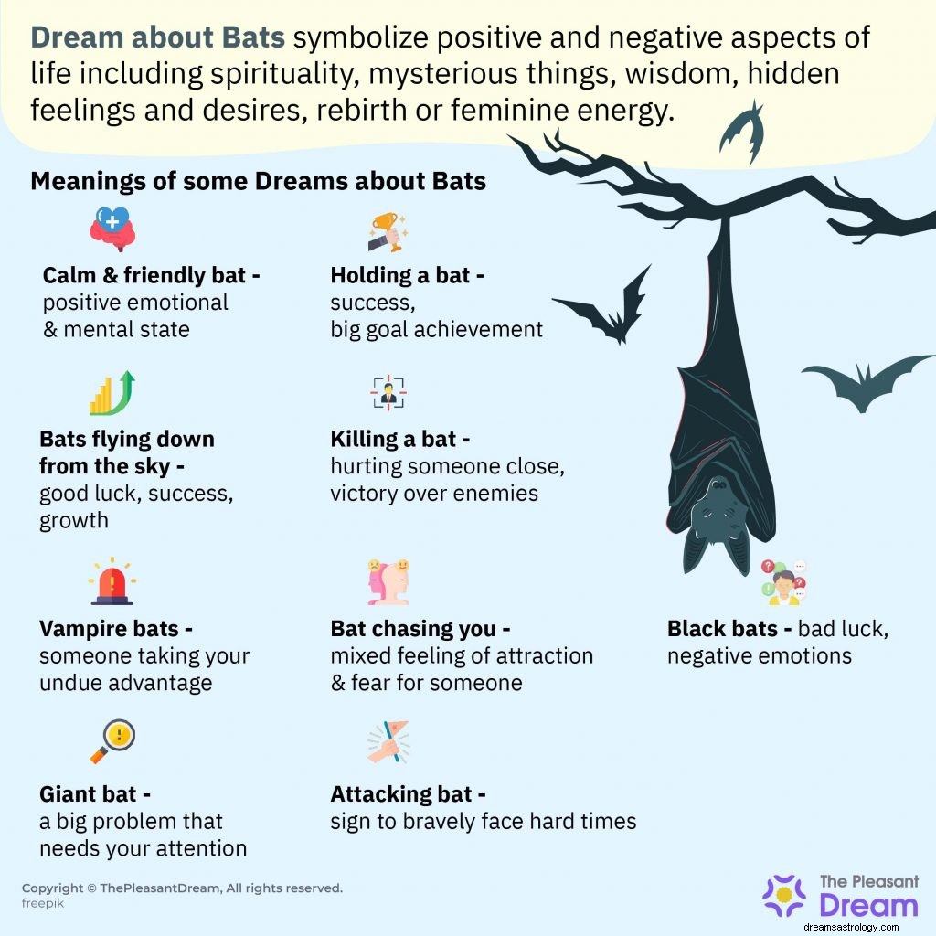 Sonhe com morcegos - mais de 50 tipos e seus significados 