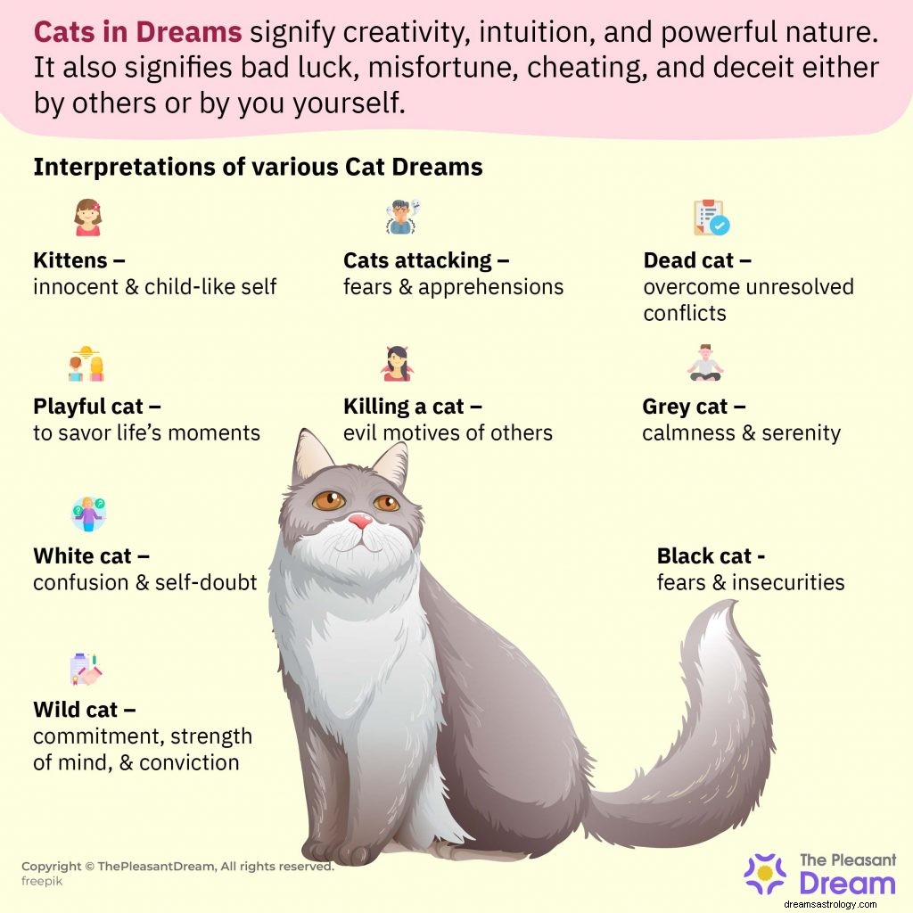 Sognare gatti:37 tipi e interpretazioni 