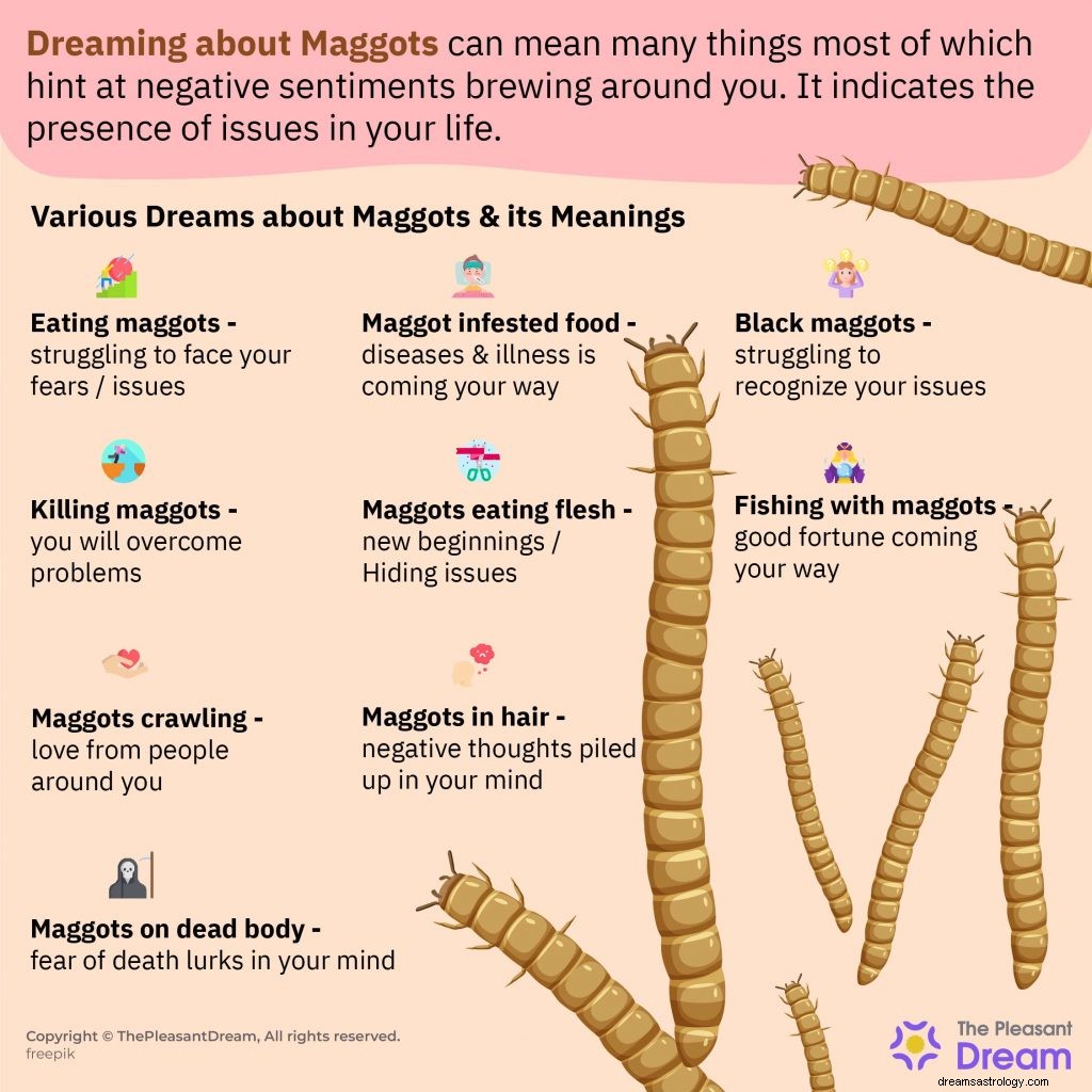 Drømmer om maggots:51 typer og tolkninger 